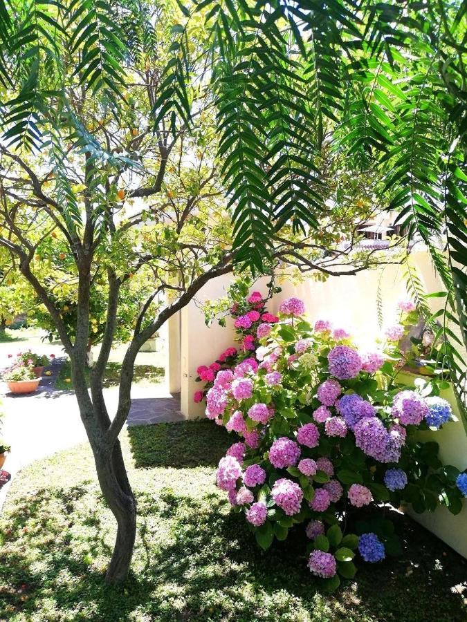 Апартаменти A Casa Di Iole Ф'юмічіно Екстер'єр фото